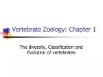Vertebrate Zoology: Chapter 1 - slide 1