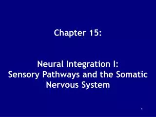 Chapter 15: Neural Integration I: Sensory Pathways and the Somatic Nervous System