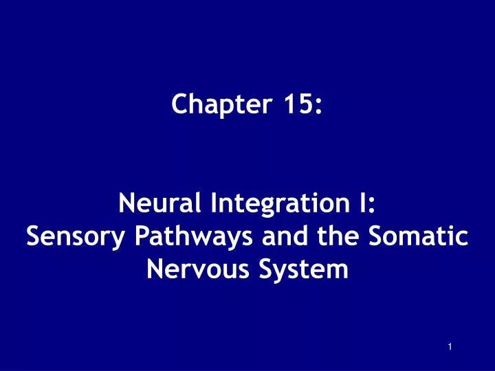chapter 15 neural integration i sensory pathways and the somatic nervous system