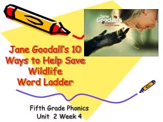 Jane Goodall’s 10 Ways to Help Save Wildlife Word Ladder