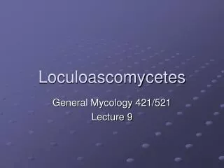 Loculoascomycetes