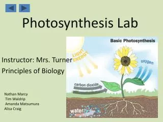 Photosynthesis Lab