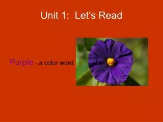 Unit 1: Let’s Read