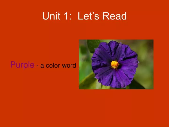 unit 1 let s read