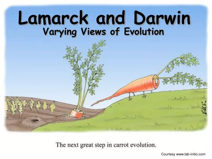 lamarck and darwin