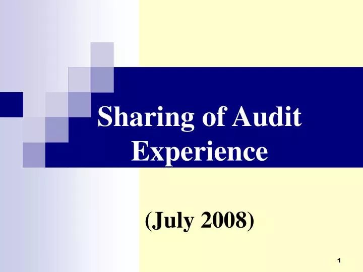 sharing of audit experience july 2008