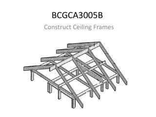 BCGCA3005B