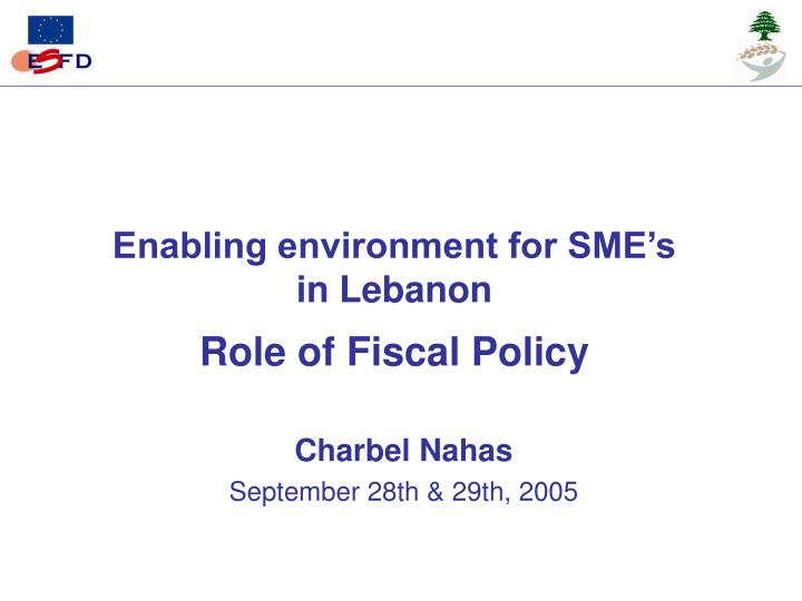 enabling environment for sme s in lebanon role of fiscal policy