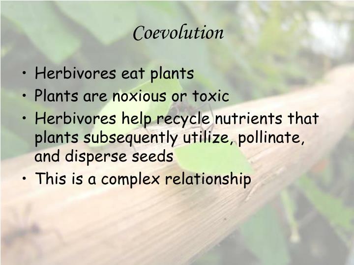 coevolution