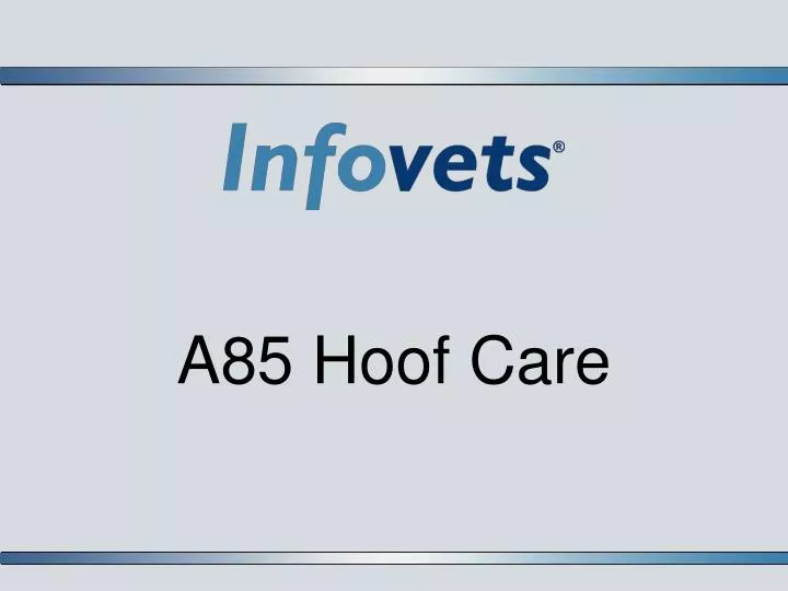 a85 hoof care