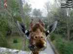 Salut ! - slide 1