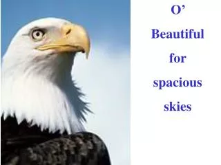 O’ Beautiful for spacious skies