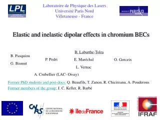 Elastic and inelastic dipolar effects in chromium BECs