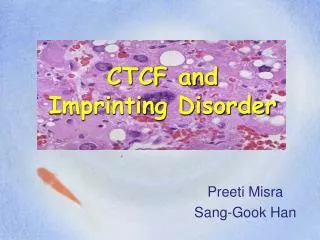 CTCF and Imprinting Disorder
