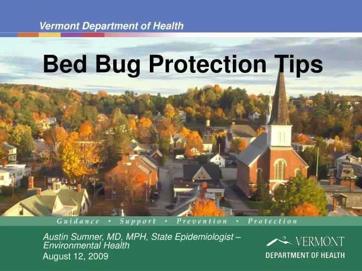 bed bug protection tips