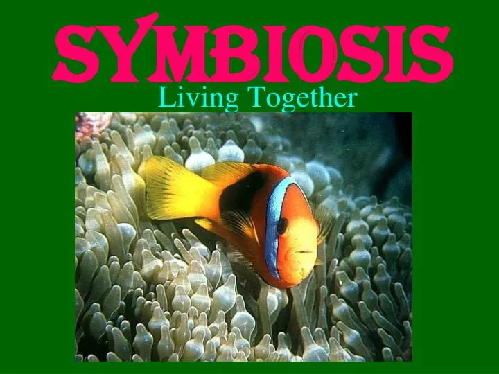 symbiosis