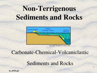 Non-Terrigenous Sediments and Rocks