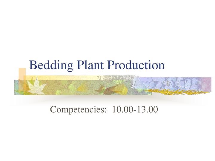bedding plant production