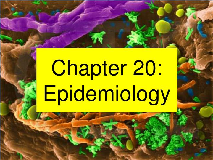 chapter 20 epidemiology