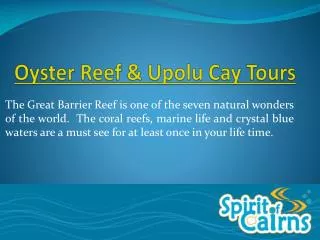 Oyster Reef and Upolu Cay Day Tours