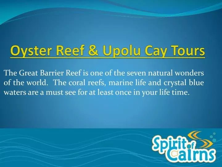 oyster reef upolu cay tours