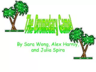 By Sara Wong, Alex Harnly, and Julia Spira
