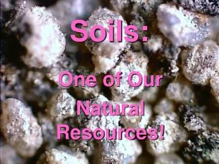 Soils: