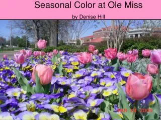 Seasonal Color at Ole Miss by Denise Hill