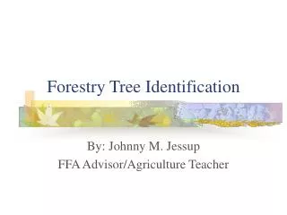 Forestry Tree Identification