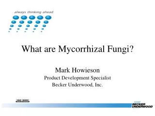What are Mycorrhizal Fungi?