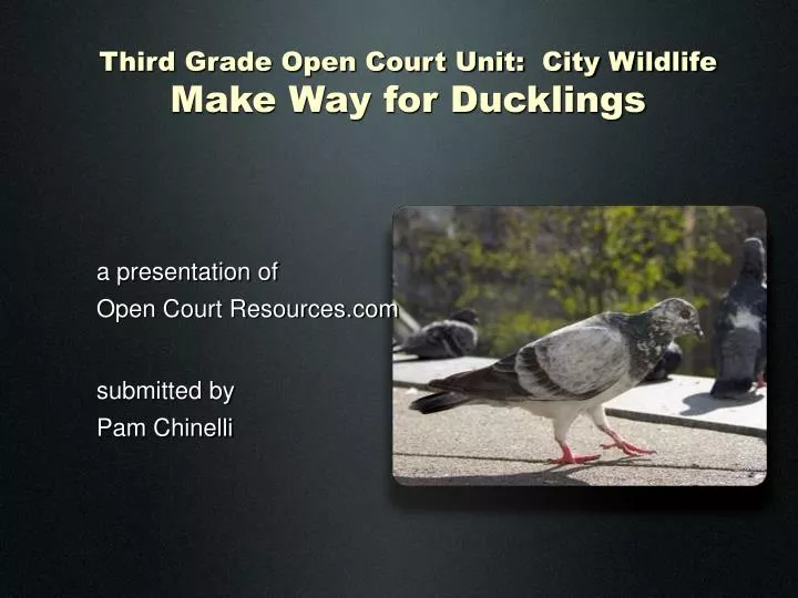 third grade open court unit city wildlife make way for ducklings