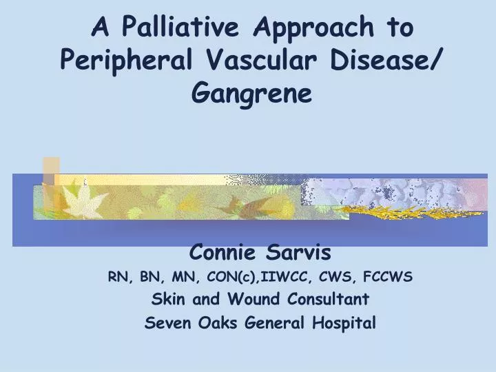 a palliative approach to peripheral vascular disease gangrene