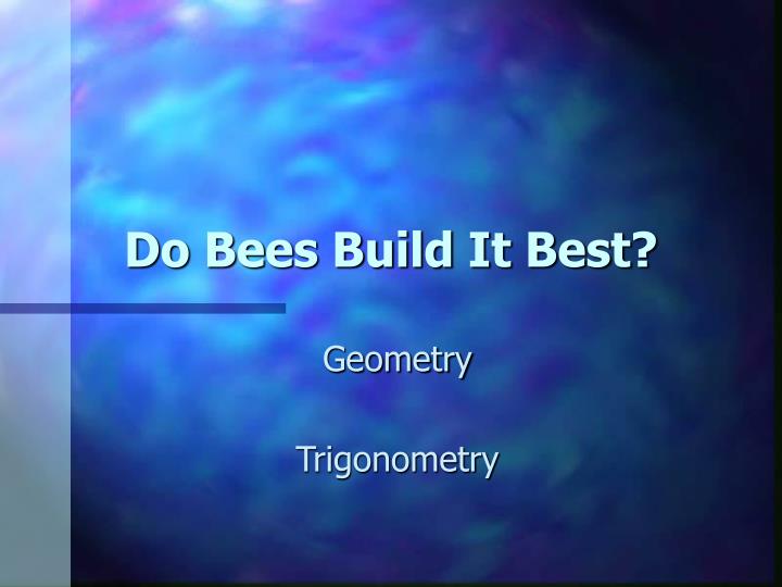 do bees build it best