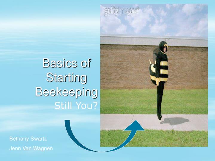 basics of starting beekeeping