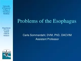 Problems of the Esophagus