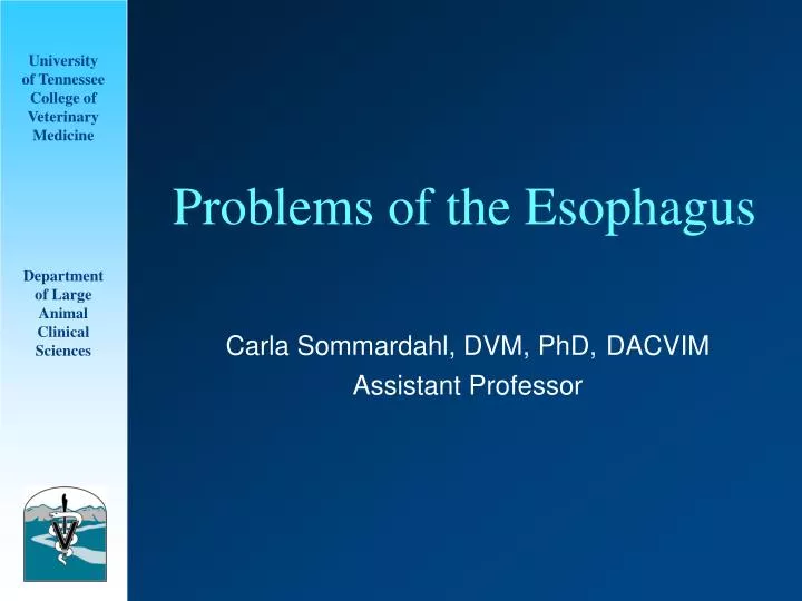 problems of the esophagus