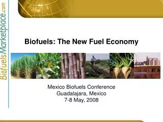 Biofuels: The New Fuel Economy
