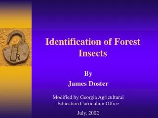Identification of Forest Insects