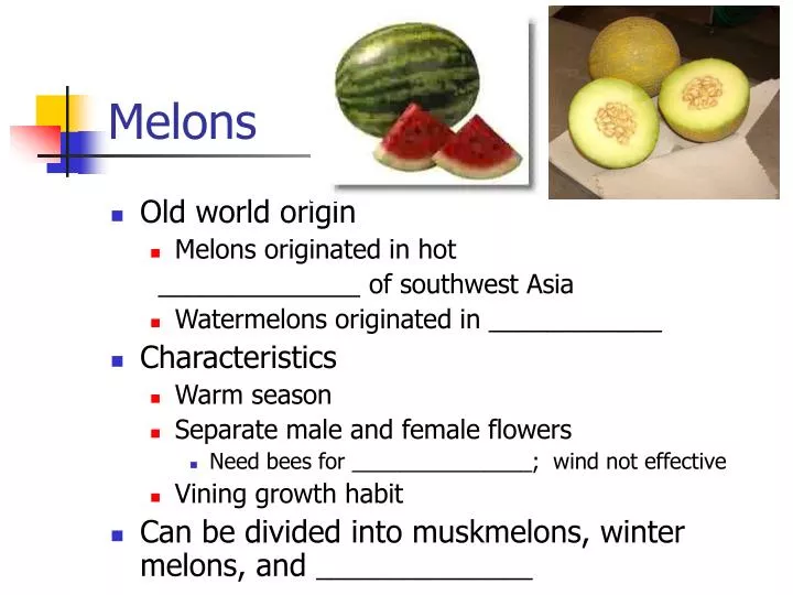 melons