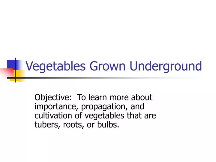 vegetables grown underground