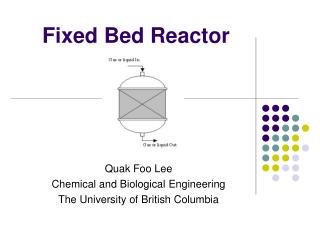 Fixed Bed Reactor