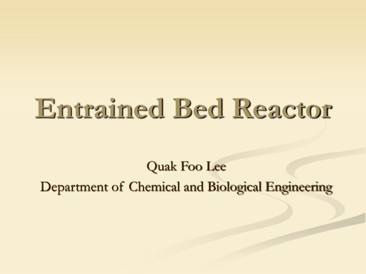 entrained bed reactor