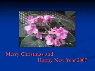 Merry Christmas and Happy New Year 2007