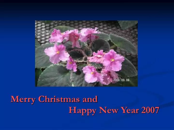 merry christmas and happy new year 2007