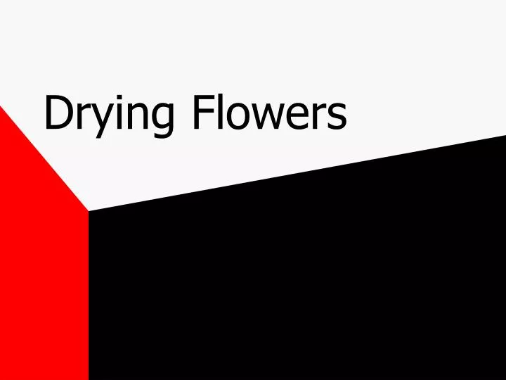 drying flowers