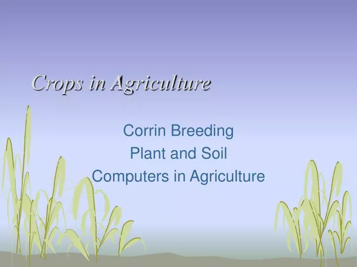 crops in agriculture