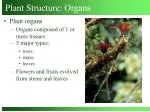 Plant Structure: Organs - slide 1