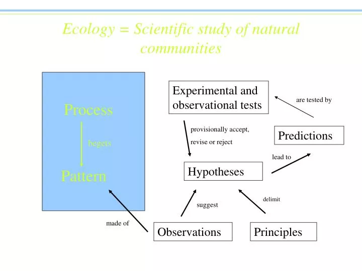ecology scientific study of natural communities