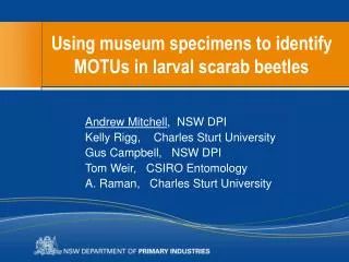 Using museum specimens to identify MOTUs in larval scarab beetles