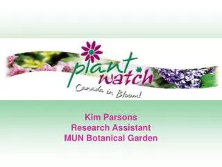 Kim Parsons Research Assistant MUN Botanical Garden